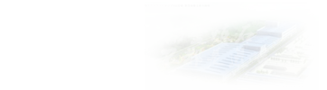 ұ𹤳